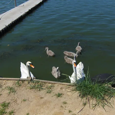 Dom wakacyjny Rusałka Rodzinne