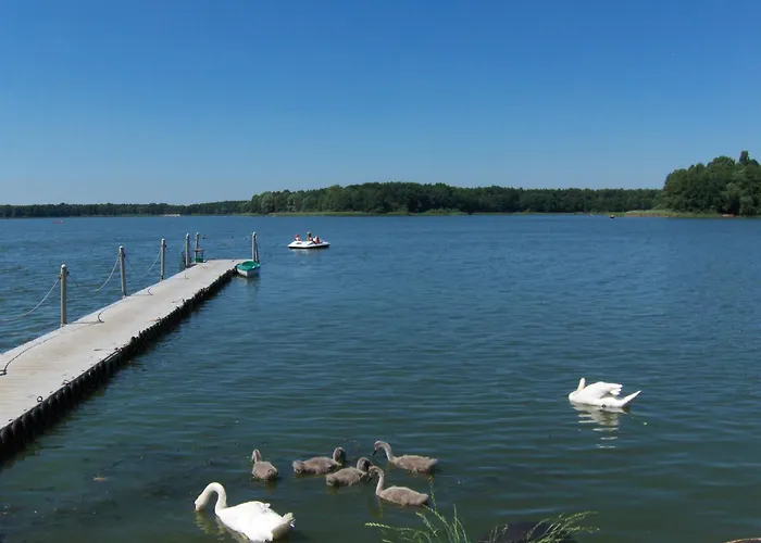 Rusalka Rodzinne * Rudno (Wolsztyn)
