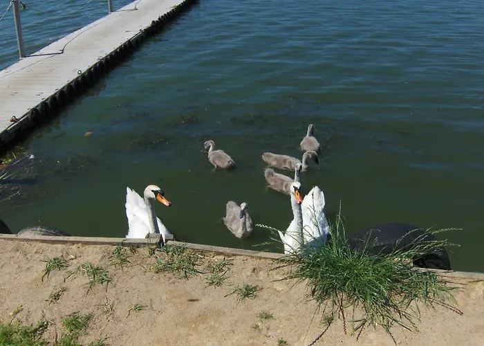 Holiday home Rusalka Rodzinne